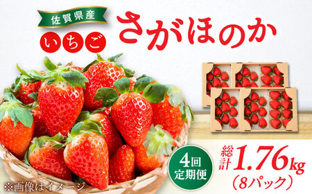 [2026年発送分 先行予約][全4回定期便]さがほのか 220g×2パック×4回 / 佐賀県 / 鐘ヶ江農園