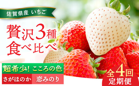 ys\zyS4ցzق̂Ê݂E̐F 220g×2pbN×4 / ꌧ / ]_ [41ASBK006]