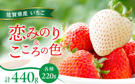 ys\ẑ݂E̐F 220g×2pbNie1pbNj / ꌧ / ]_ [41ASBK007]