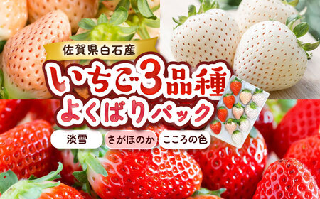 y2026N s\z1pbN3Fi̐FEق̂EWj220g×1pbN / ꌧ / ݐ_ [41ASAG009]