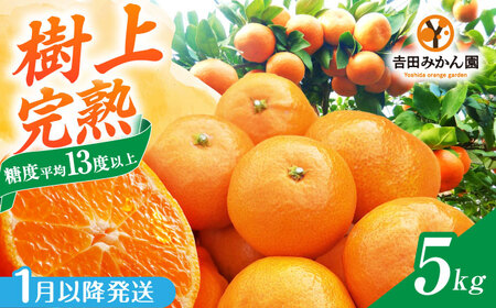 y2026N s\z㊮n݂ 5kg / k Y t[c / ꌧ / gc݂ [41ABAG003]