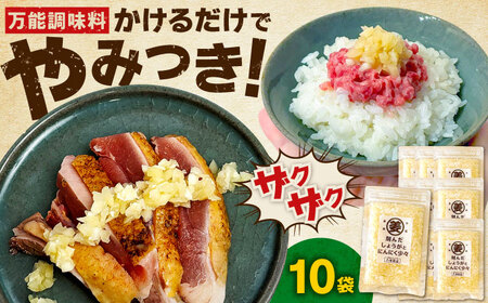 񂾂傤ƂɂɂXi80g×10܁j /   nh  / ꌧ / LДTsX [41AHDB004]