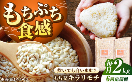 yS6ցz L` 2kgi1kg×2܁j/ G G / ꌧ / ˕čX[41ANAD007]