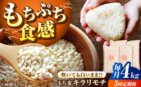 yS3ցz L` 4kgi1kg×4܁j/ G G / ꌧ / ˕čX[41ANAD009]