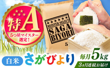 yS3ցzт  5kg /  / ꌧ [41ANAD012]