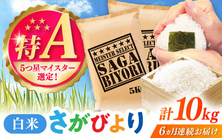 yS6ցzт  10kgi5kg×2܁j /  / ꌧ [41ANAD016]