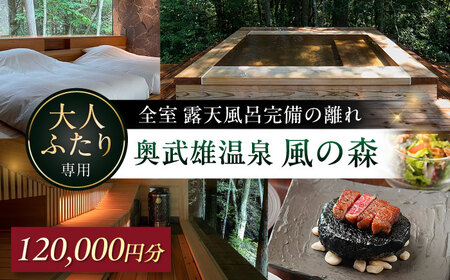 yAzY򕗂̐X h⏕ 12~ / h  TEi / ꌧ / GOTEN][g[41ATAB007]