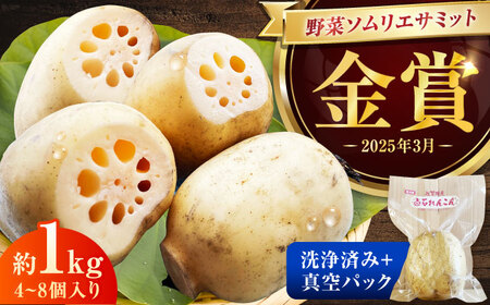 �y���܎�܁I�z�^��p�b�N �����ʂ̂�����蔒�΂�񂱂� ��1kg(4-8��) / �@�� ��� ���� / ���ꌧ / ������[41ASAB001]