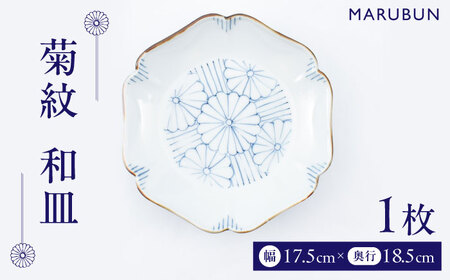 [ロマ佐賀][有田焼]菊紋 和皿 / 焼き物 食器 有田焼 
