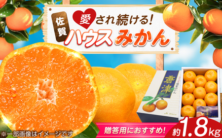 [2026年発送分 先行予約]佐賀県ハウスみかん約1.8kg / みかん 蜜柑 果物 フルーツ 柑橘 唐津 九州 / リフルット株式会社 