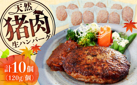 猪肉の生ハンバーグ 計10個(120g×2個入り×5パック) / 佐賀県 / ジビエ唐津 