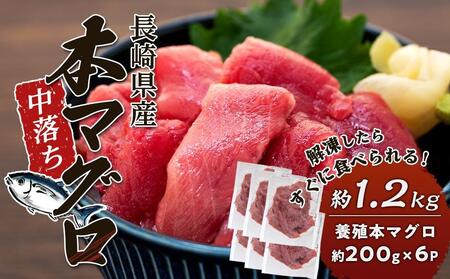 中落ち マグロの返礼品 検索結果 | ふるさと納税サイト「ふるなび」