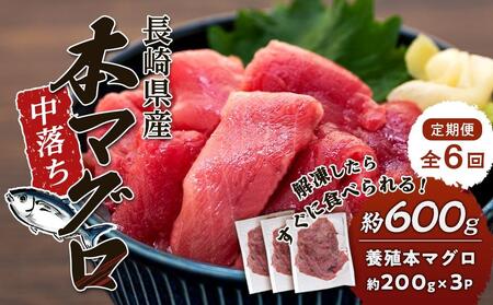 【6回 定期便】長崎県産 本マグロ中落ち 約600g（約200g×3P）