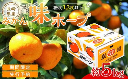 [糖度12度以上!]長崎県産 みかん 味ホープ 約5kg[期間限定/先行予約][2025年11月中旬以降順次発送]