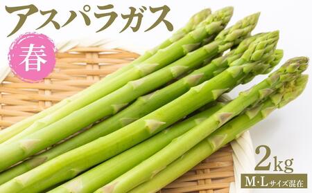 �y��s�\��z�t�A�X�p���K�X 2kg M�EL�T�C�Y����2026�N1�����{����蔭��