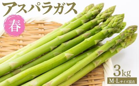 �y��s�\��z�t�A�X�p���K�X 3kg M�EL�T�C�Y���� 2026�N1�����{����蔭��