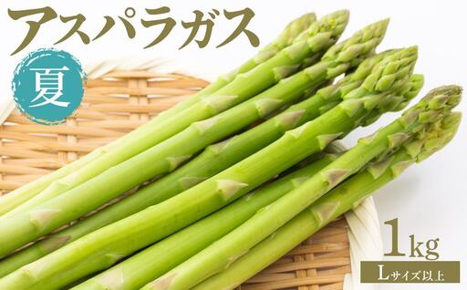 夏アスパラガス 1kg Lサイズ以上 2026年6月より順次発送