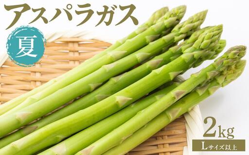 夏アスパラガス 2kg Lサイズ以上 2026年6月より順次発送