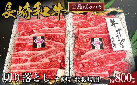 ao΂炢؂藎Ƃ800giāESėpj