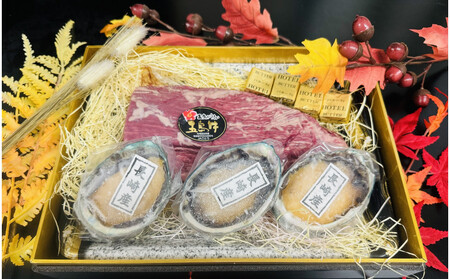 五島牛 ヒレブロック(約300g) & 長崎県産アワビ(約80g×3)セット