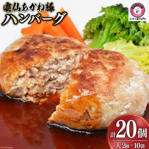 雲仙あかね豚 ハンバーグ