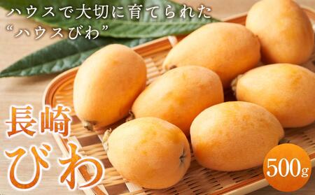 [先行予約 2026年3月下旬より順次発送]長崎ハウスびわ 500g | びわ びわ びわ びわ びわ