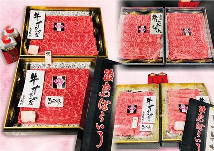 yAB774za o΂炢 R sM[^CvGt