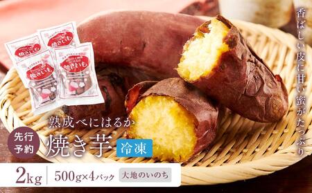 蜜がたっぷり♪熟成べにはるか 焼き芋(冷凍)2kg[大地のいのち] | 焼き芋 焼き芋 焼き芋 焼き芋 焼き芋