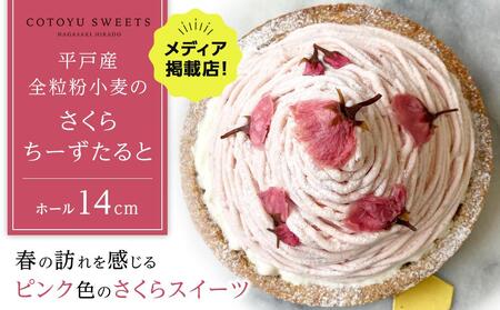 ys\zytlXC[czˎYŜ炿[ 1z[i14cmj / SD -Cotoyu Sweets-