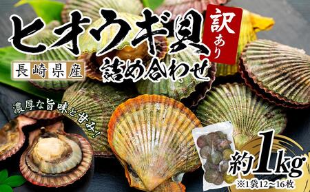 長崎県産 訳あり ヒオウギ貝 約1kg（8～15枚） 詰め合わせ