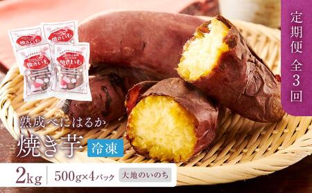 [定期便 全3回]蜜がたっぷり♪熟成べにはるか 焼き芋(冷凍)2kg(500g×4P)[大地のいのち]