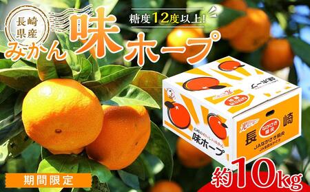 yx12xȏIz茧Y ݂ z[v 10kgԌ^s\񁄁y2025N11{ȍ~z