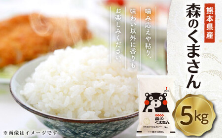 [令和5年度産]熊本県産 森のくまさん 5kg 精米 お米