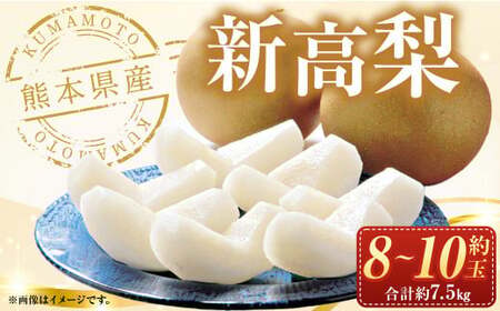 [2024年10月上旬発送開始]熊本県産 新高梨 約7.5kg 約8〜10個 梨 なし ジャンボ梨