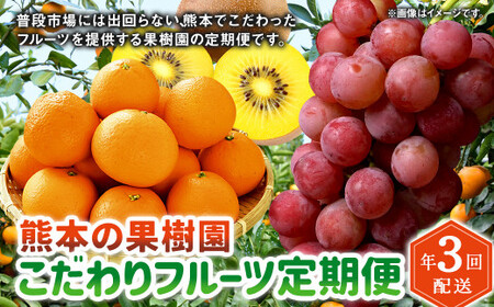 [年3回定期便]熊本の果樹園こだわりフルーツ定期便