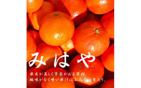 [2024年12月発送開始]熊本県産みはや 約5キロ 果物 柑橘類 蜜柑