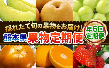 [年6回定期便]熊本県果物定期便 採れたて旬の果物をお届け!