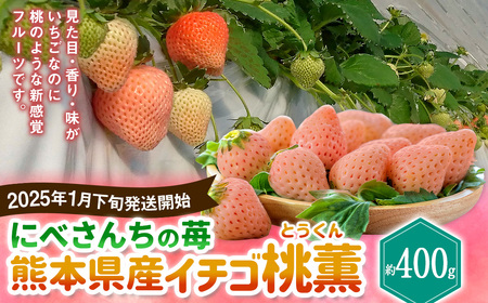 にべさんちの苺 熊本県産イチゴ桃薫(とうくん) 約400g [2025年1月下旬発送開始]