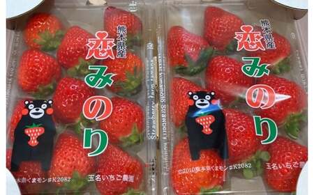 熊本県産 いちご (恋みのり)2パック 約560g 苺 恋みのり こいみのり [2025年1月上旬発送開始]