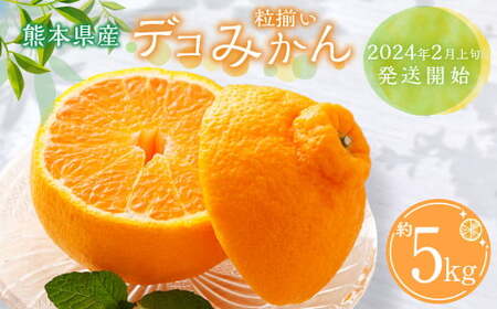 熊本県産 デコみかん 約5kg 粒揃い 不知火 柑橘類 [2025年2月上旬発送開始]