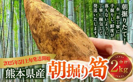 熊本県産 朝掘り 筍 約2kg [2025年4月上旬発送開始] たけのこ タケノコ 野菜