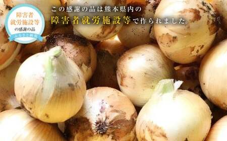 こだわり サラダ玉ねぎ 合計 8kg タマネギ たまねぎ 玉ねぎ 玉葱 常温 九州 熊本県産 [2025年4月上旬発送開始]