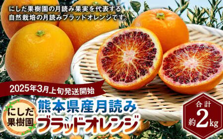 にしだ果樹園の熊本県産月読み ブラッドオレンジ 約2kg オレンジ 柑橘 みかん 蜜柑 フルーツ 果物 くだもの [2025年3月上旬発送開始]