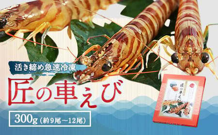 匠のくるまえび 活き締め くるまえび 約300g (約9尾〜12尾) 車海老 クルマエビ 車えび 車エビ 海老 エビ えび 魚介 魚貝類 熊本県産 国産 冷凍