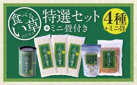 食べるい草 特選セット ミニ畳付き 4種 ふりかけ 飴 お茶 麺 畳 ミニ畳 い草 いぐさ 熊本県