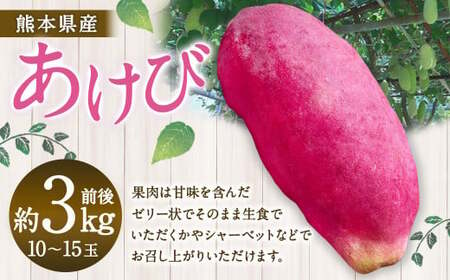 熊本県産 あけび 約3キロ前後 [2025年10月上旬発送開始] フルーツ 果物 くだもの アケビ 熊本県 国産