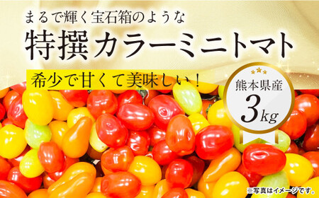 『まるで輝く宝石箱のような特撰カラーミニトマト』 約3kg 1箱 熊本県産 [2025年1月下旬発送開始] 野菜 やさい トマト とまと ミニトマト