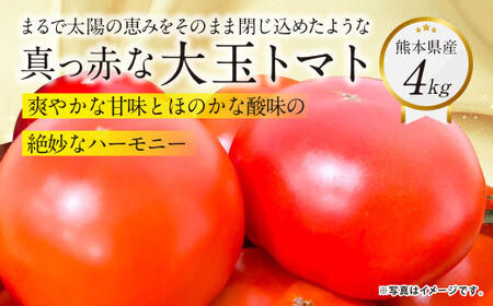 『まるで太陽の恵みをそのまま閉じ込めたような真っ赤な大玉トマト』約4kg 1箱 熊本県産 [2025年1月下旬発送開始] 野菜 やさい トマト とまと 大玉トマト