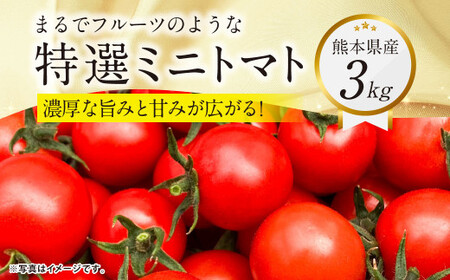 『まるでフルーツのような特選ミニトマト』 約3kg 1箱 熊本県産 [2025年1月下旬発送開始] 野菜 やさい トマト とまと ミニトマト