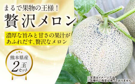 『まるで果物の王様!贅沢メロン』 2玉セット 1箱 熊本県産 [2025年11月下旬発送開始]フルーツ くだもの 果物 メロン 果実 果肉 おやつ 国産